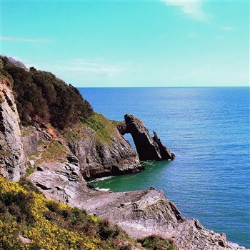 English Riviera Coastal Charm 
