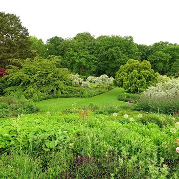RHS Harlow Carr Or Harrogate on Mothers Day