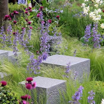 Chelsea Flower Show and Wisley