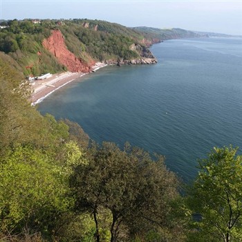 Picturesque Babbacombe And The English Riviera 