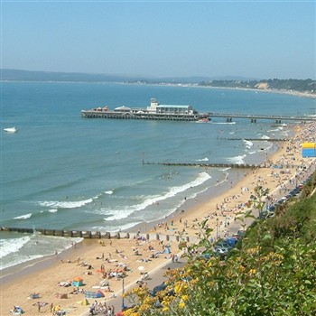 Dorset Summer Delights 