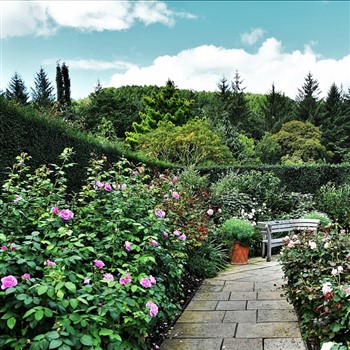 Discovering Devon & RHS Rosemoor 