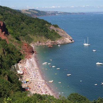 Spring On Devons English Riviera