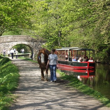 Llangollen-and-Horse-Drawn-Barge-Cruise