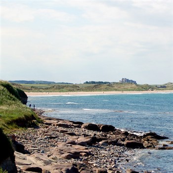 Northumbria and the Farne Island Puffins