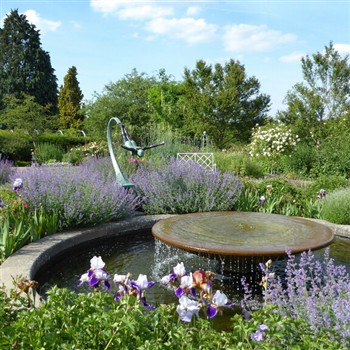 Royal River and RHS Wisley 