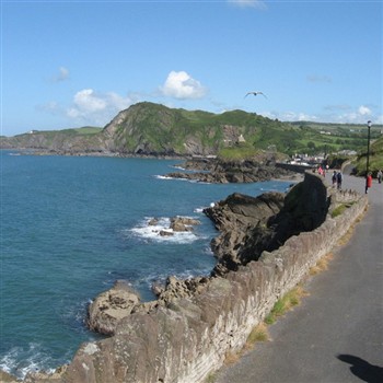 Devon Coast & Gardens Of Cornwall 