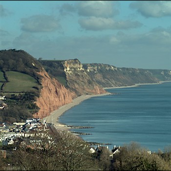 Devon Floral & Coastal Charm