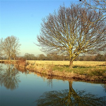 Constable Country and Roman Roots
