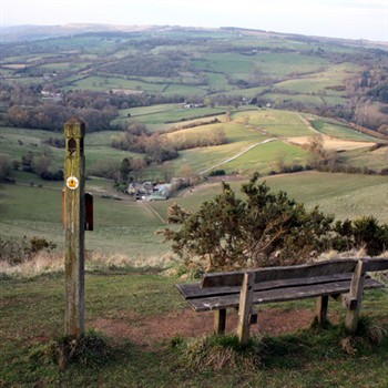 Cotswold Gems
